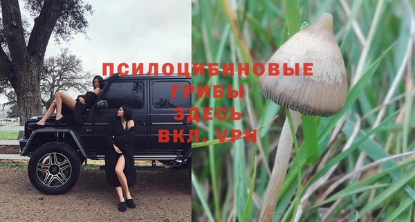 меф Протвино