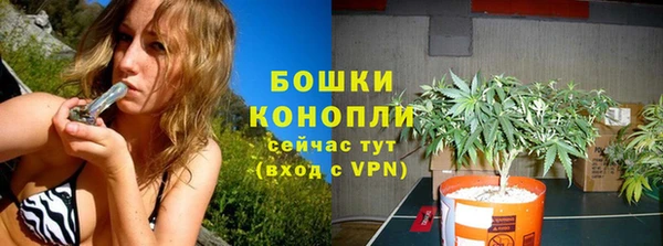 ECSTASY Лиски