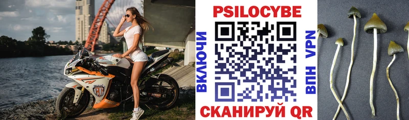 blacksprut ссылка  Лысьва  Галлюциногенные грибы Psilocybe  где найти наркотики 